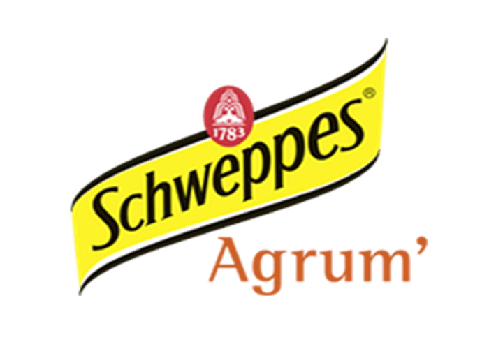 SCHWEPPES AGRUMES 33CL